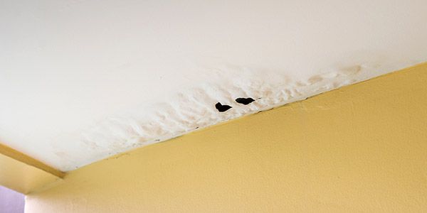 The Do’s And Don’ts After Water Damage